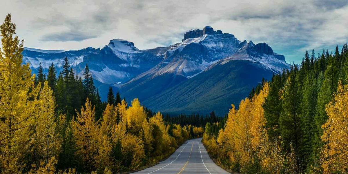 Study in Canada Study Destination