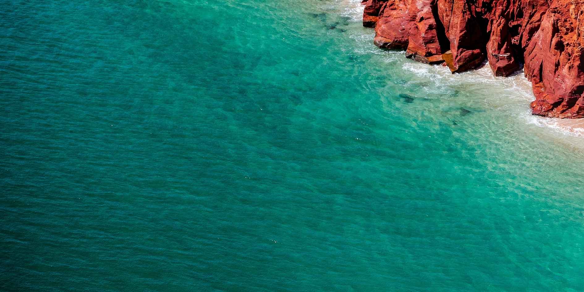 Après le Working Holiday Visa : quelles options pour rester en Australie ?