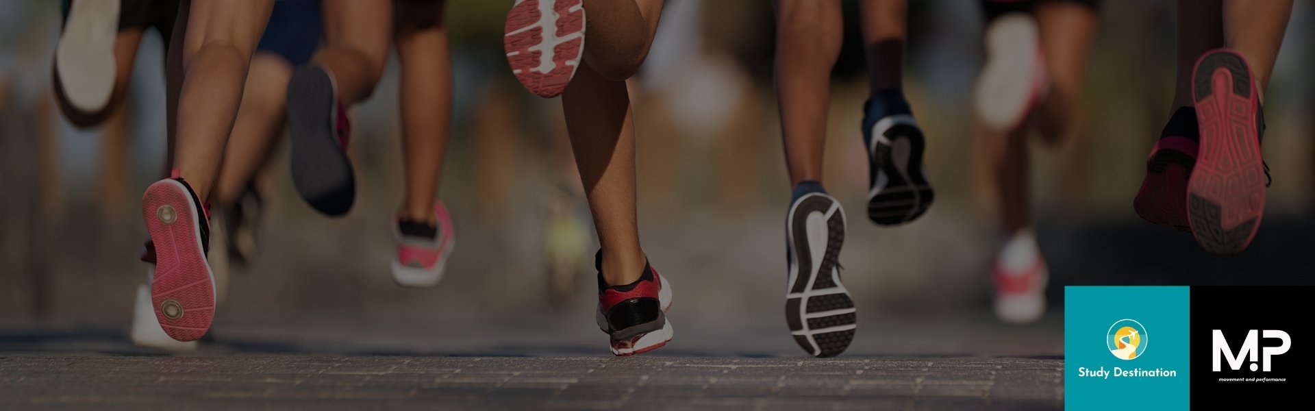 Entrenamiento Funcional – Study Destination